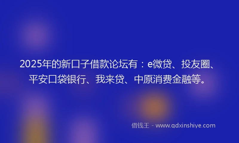 2025年的新口子借款论坛有：e微贷、投友圈、平安口袋银行、我来贷、中原消费金融等。