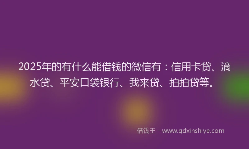 2025年的有什么能借钱的微信有：信用卡贷、滴水贷、平安口袋银行、我来贷、拍拍贷等。