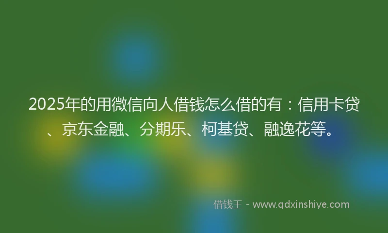 2025年的用微信向人借钱怎么借的有：信用卡贷、京东金融、分期乐、柯基贷、融逸花等。