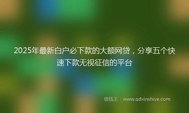 2025年最新白户必下款的大额网贷，分享五个快速下款无视征信的平台