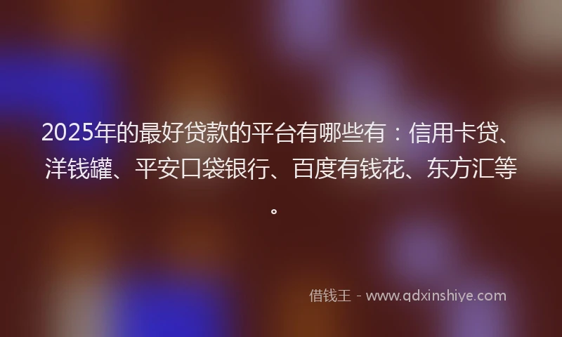 2025年的最好贷款的平台有哪些有：信用卡贷、洋钱罐、平安口袋银行、百度有钱花、东方汇等。