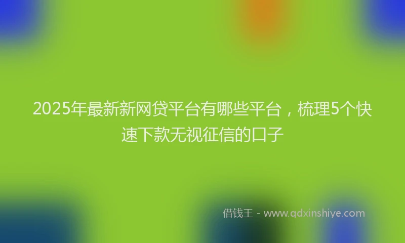 2025年最新新网贷平台有哪些平台，梳理5个快速下款无视征信的口子