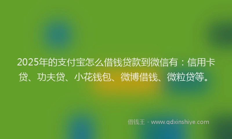 2025年的支付宝怎么借钱贷款到微信有：信用卡贷、功夫贷、小花钱包、微博借钱、微粒贷等。