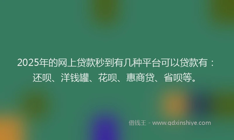 2025年的网上贷款秒到有几种平台可以贷款有：还呗、洋钱罐、花呗、惠商贷、省呗等。