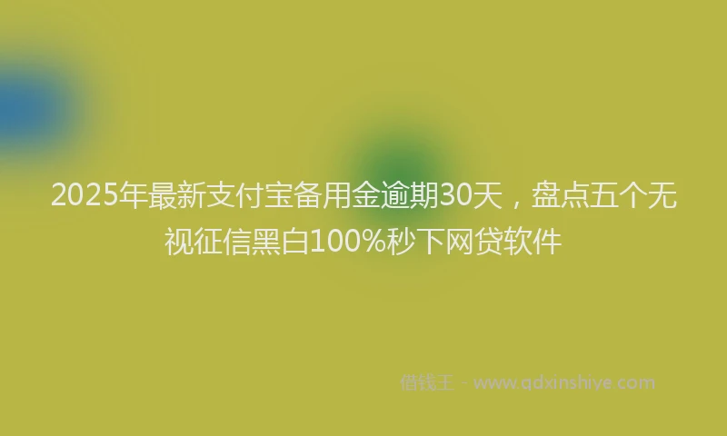 2025年最新支付宝备用金逾期30天，盘点五个无视征信黑白100%秒下网贷软件