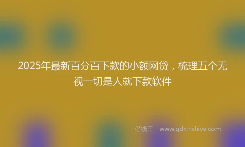 2025年最新百分百下款的小额网贷，梳理五个无视一切是人就下款软件