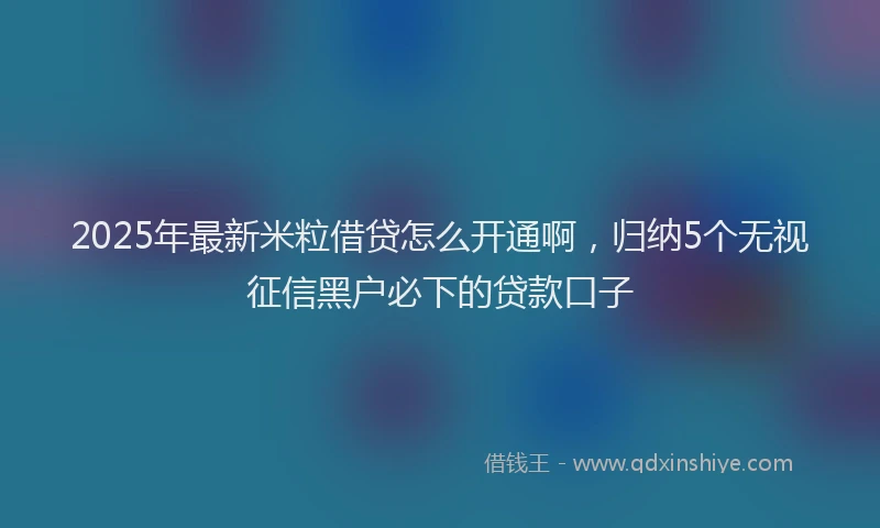 2025年最新米粒借贷怎么开通啊，归纳5个无视征信黑户必下的贷款口子