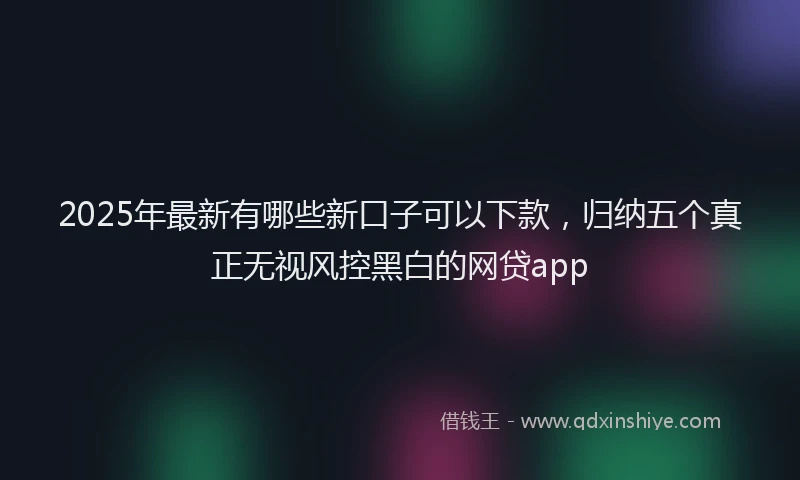 2025年最新有哪些新口子可以下款，归纳五个真正无视风控黑白的网贷app