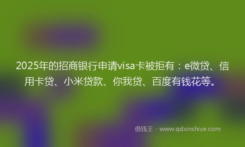 2025年的招商银行申请visa卡被拒有：e微贷、信用卡贷、小米贷款、你我贷、百度有钱花等。