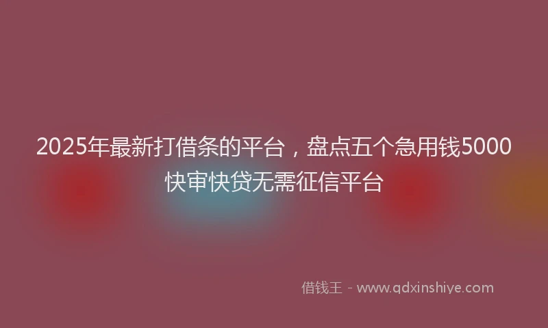 2025年最新打借条的平台，盘点五个急用钱5000快审快贷无需征信平台