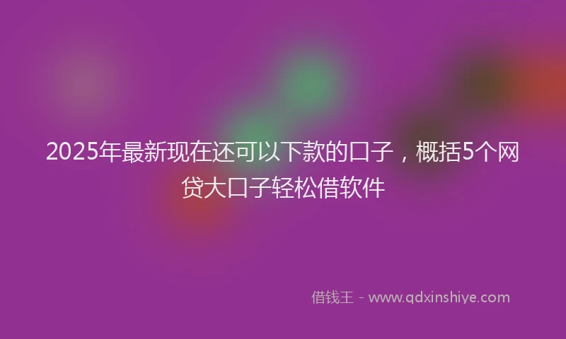 2025年最新现在还可以下款的口子，概括5个网贷大口子轻松借软件