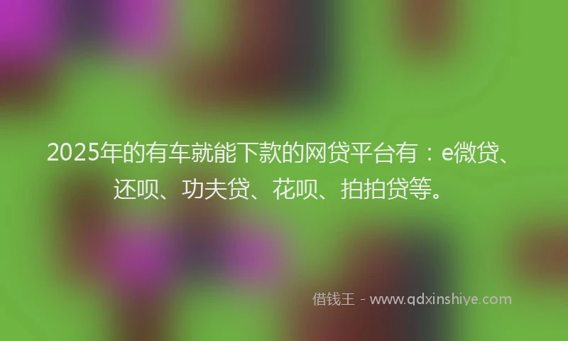 2025年的有车就能下款的网贷平台有：e微贷、还呗、功夫贷、花呗、拍拍贷等。