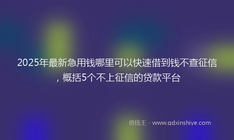 2025年最新急用钱哪里可以快速借到钱不查征信，概括5个不上征信的贷款平台
