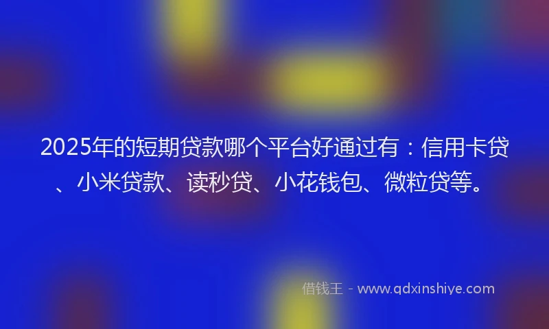 2025年的短期贷款哪个平台好通过有：信用卡贷、小米贷款、读秒贷、小花钱包、微粒贷等。