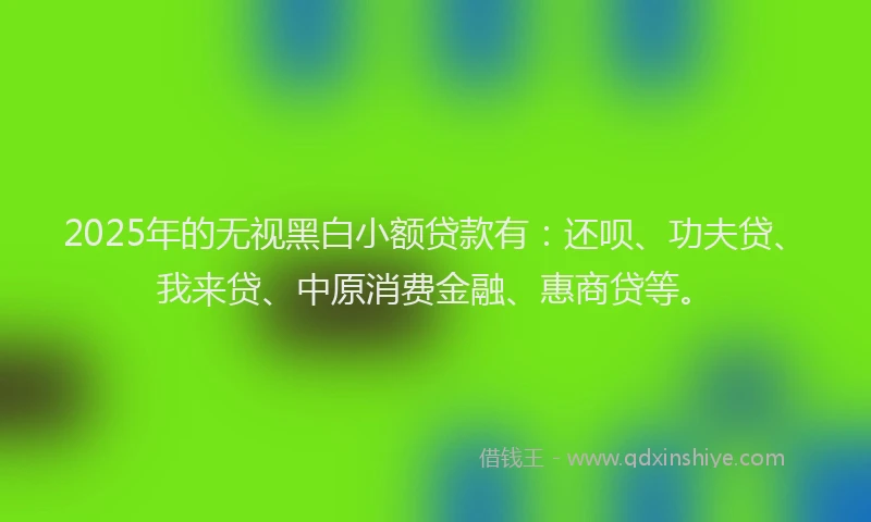 2025年的无视黑白小额贷款有：还呗、功夫贷、我来贷、中原消费金融、惠商贷等。