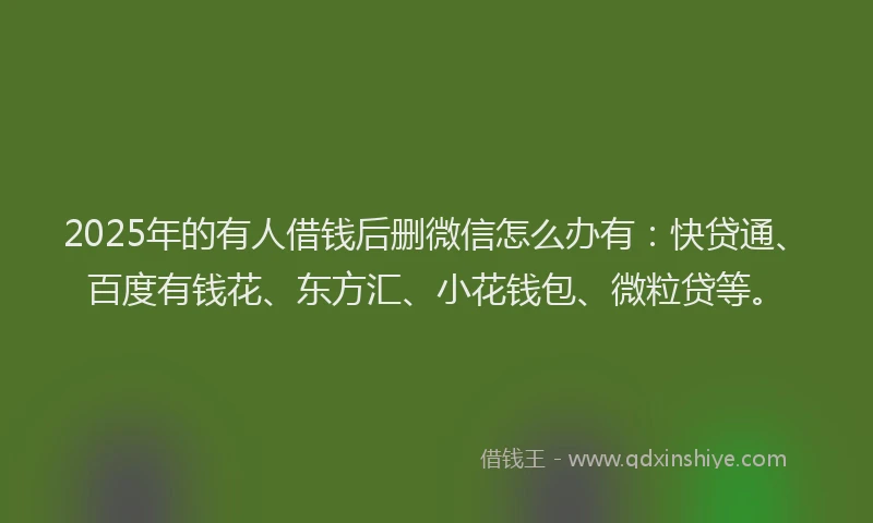 2025年的有人借钱后删微信怎么办有：快贷通、百度有钱花、东方汇、小花钱包、微粒贷等。