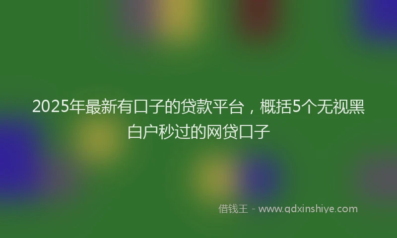 2025年最新有口子的贷款平台，概括5个无视黑白户秒过的网贷口子
