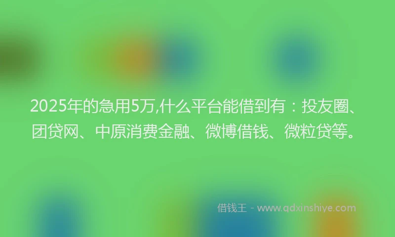 2025年的急用5万,什么平台能借到有：投友圈、团贷网、中原消费金融、微博借钱、微粒贷等。