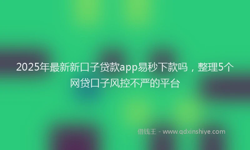2025年最新新口子贷款app易秒下款吗，整理5个网贷口子风控不严的平台