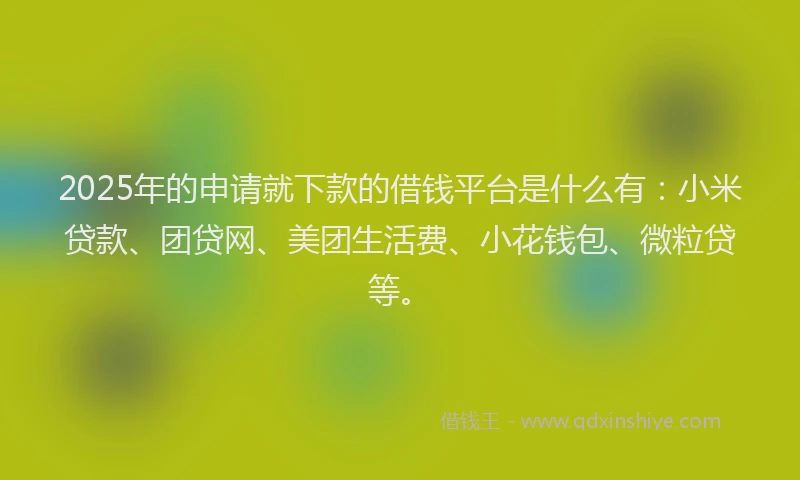 2025年的申请就下款的借钱平台是什么有：小米贷款、团贷网、美团生活费、小花钱包、微粒贷等。