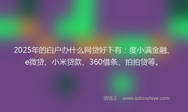2025年的白户办什么网贷好下有：度小满金融、e微贷、小米贷款、360借条、拍拍贷等。