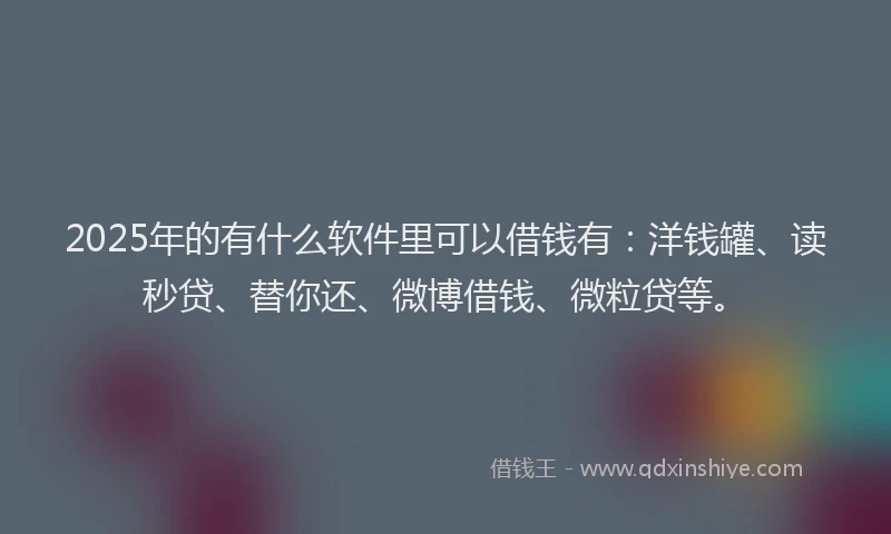 2025年的有什么软件里可以借钱有：洋钱罐、读秒贷、替你还、微博借钱、微粒贷等。