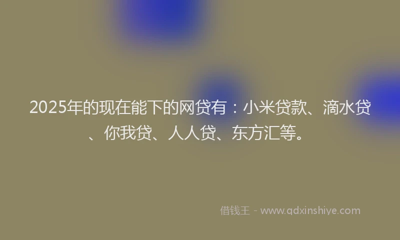 2025年的现在能下的网贷有：小米贷款、滴水贷、你我贷、人人贷、东方汇等。
