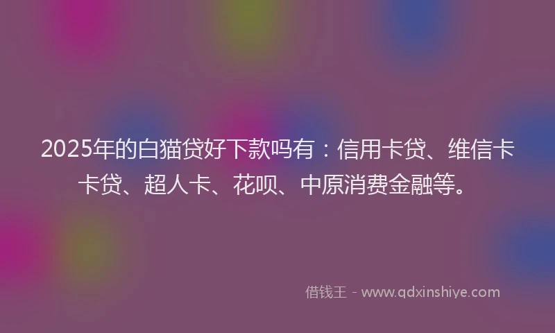 2025年的白猫贷好下款吗有：信用卡贷、维信卡卡贷、超人卡、花呗、中原消费金融等。