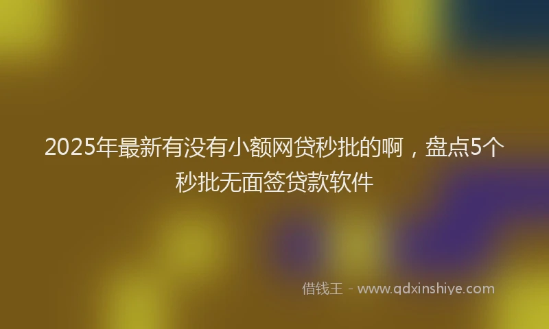 2025年最新有没有小额网贷秒批的啊，盘点5个秒批无面签贷款软件