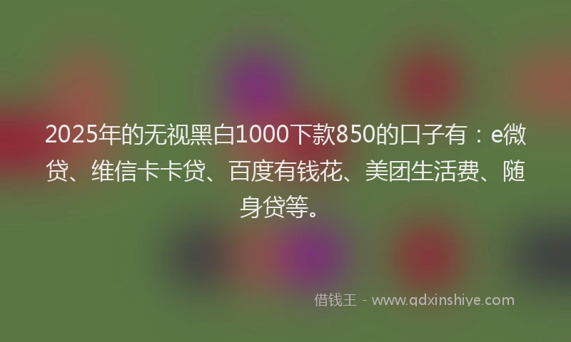 2025年的无视黑白1000下款850的口子有：e微贷、维信卡卡贷、百度有钱花、美团生活费、随身贷等。