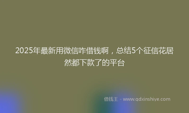 2025年最新用微信咋借钱啊，总结5个征信花居然都下款了的平台