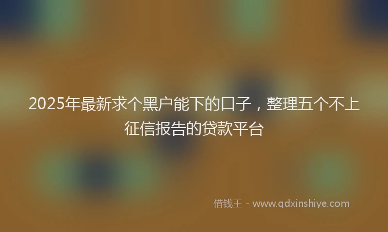2025年最新求个黑户能下的口子，整理五个不上征信报告的贷款平台