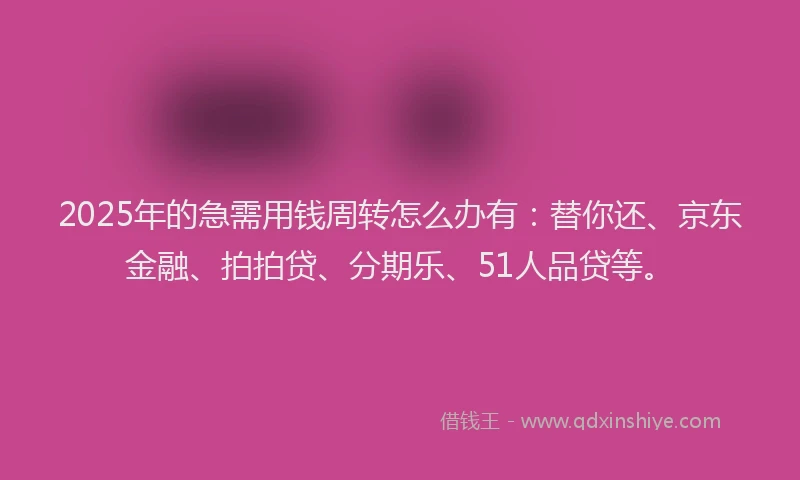 2025年的急需用钱周转怎么办有：替你还、京东金融、拍拍贷、分期乐、51人品贷等。