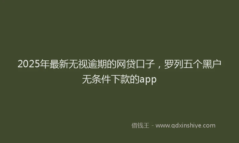2025年最新无视逾期的网贷口子，罗列五个黑户无条件下款的app