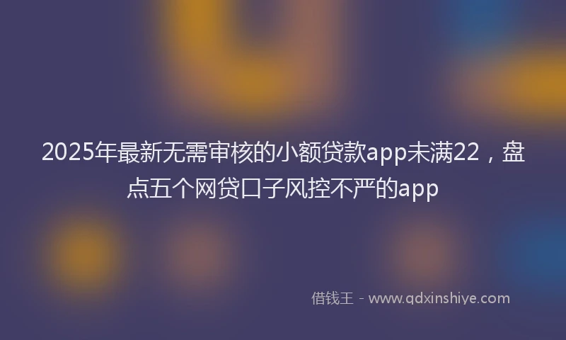 2025年最新无需审核的小额贷款app未满22，盘点五个网贷口子风控不严的app
