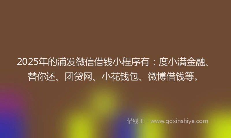 2025年的浦发微信借钱小程序有：度小满金融、替你还、团贷网、小花钱包、微博借钱等。