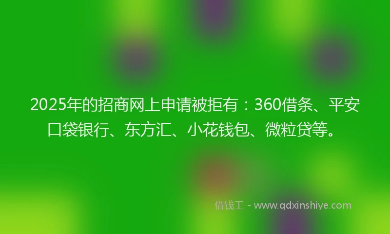 2025年的招商网上申请被拒有：360借条、平安口袋银行、东方汇、小花钱包、微粒贷等。