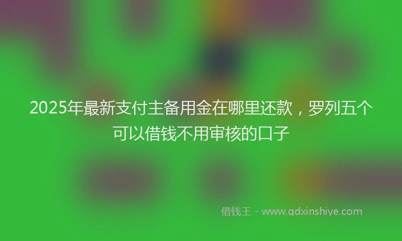 2025年最新支付主备用金在哪里还款，罗列五个可以借钱不用审核的口子