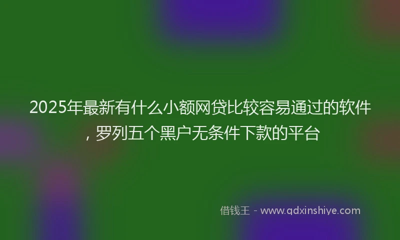 2025年最新有什么小额网贷比较容易通过的软件，罗列五个黑户无条件下款的平台