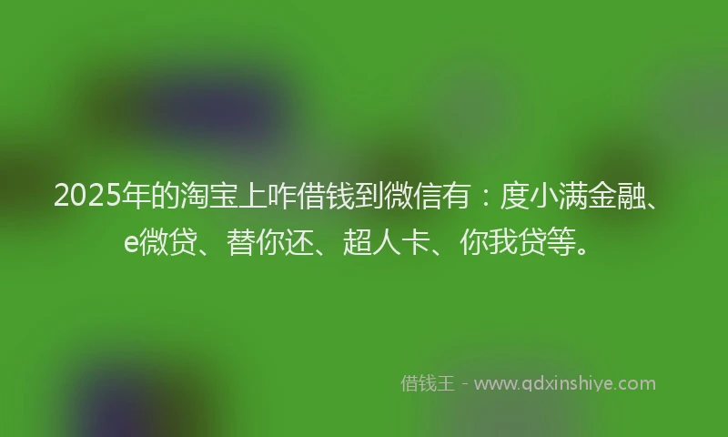 2025年的淘宝上咋借钱到微信有：度小满金融、e微贷、替你还、超人卡、你我贷等。