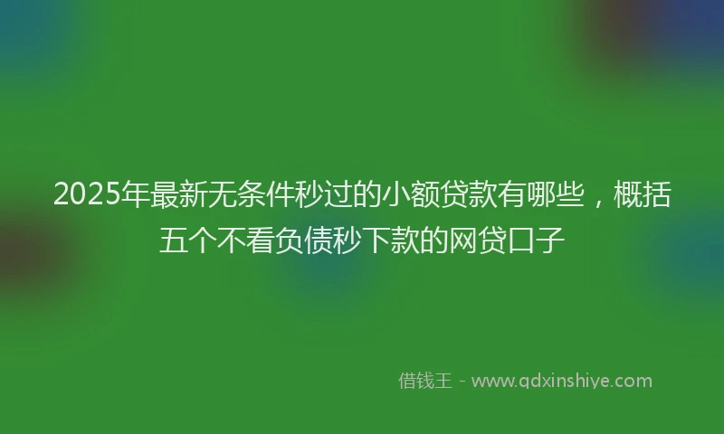 2025年最新无条件秒过的小额贷款有哪些，概括五个不看负债秒下款的网贷口子