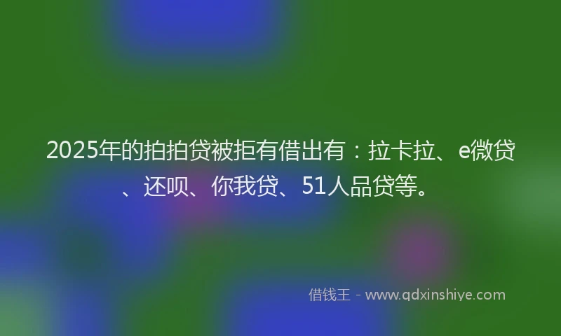 2025年的拍拍贷被拒有借出有：拉卡拉、e微贷、还呗、你我贷、51人品贷等。