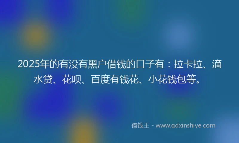 2025年的有没有黑户借钱的口子有：拉卡拉、滴水贷、花呗、百度有钱花、小花钱包等。