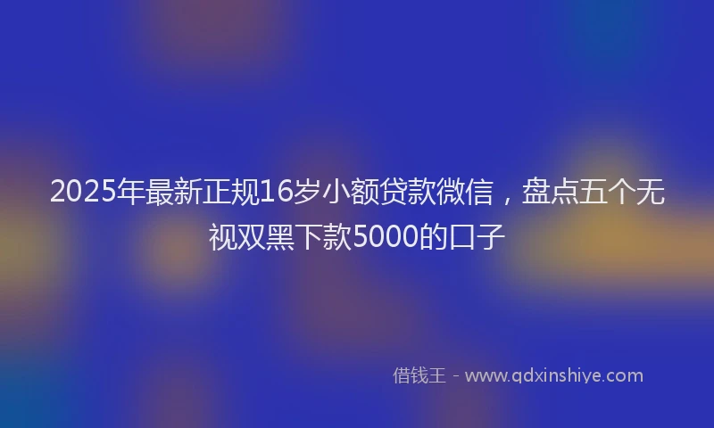 2025年最新正规16岁小额贷款微信，盘点五个无视双黑下款5000的口子
