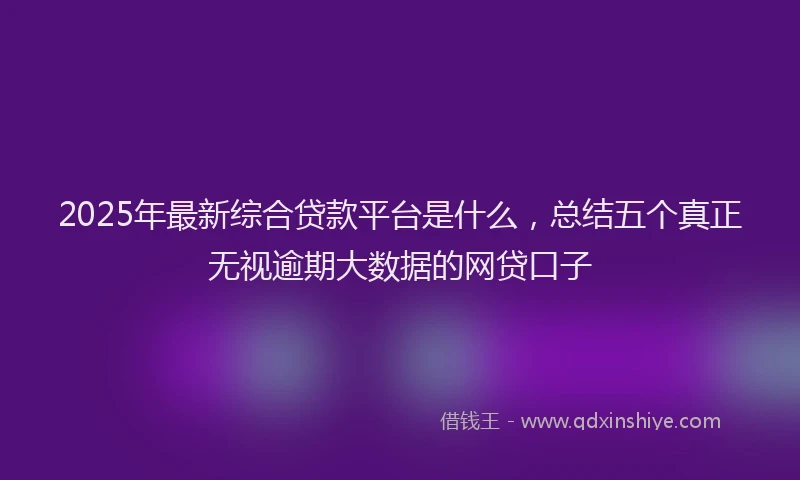 2025年最新综合贷款平台是什么，总结五个真正无视逾期大数据的网贷口子