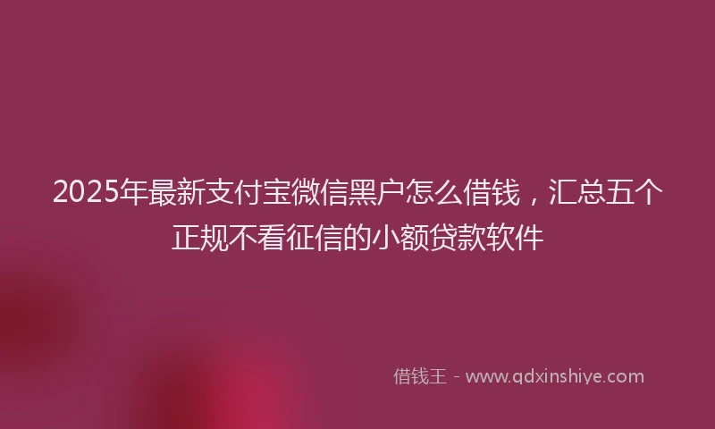2025年最新支付宝微信黑户怎么借钱，汇总五个正规不看征信的小额贷款软件