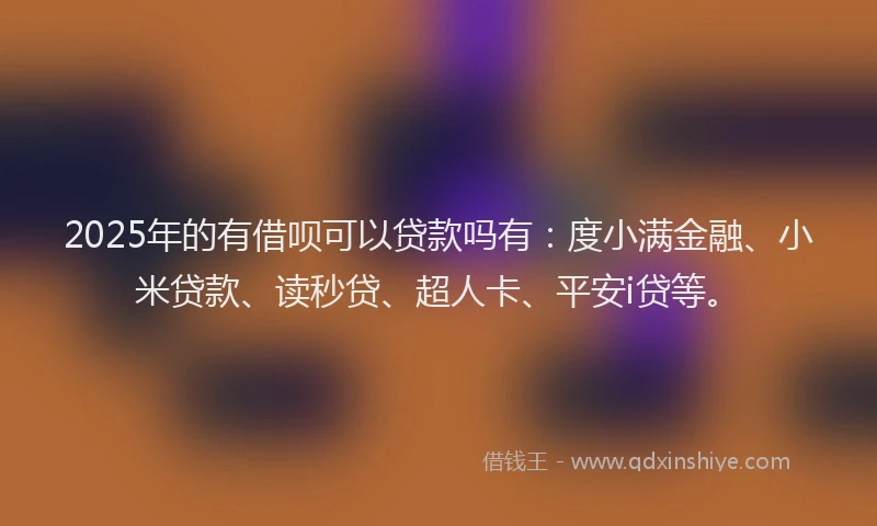 2025年的有借呗可以贷款吗有：度小满金融、小米贷款、读秒贷、超人卡、平安i贷等。