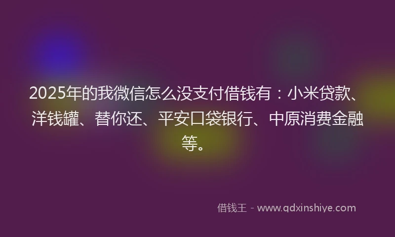2025年的我微信怎么没支付借钱有：小米贷款、洋钱罐、替你还、平安口袋银行、中原消费金融等。