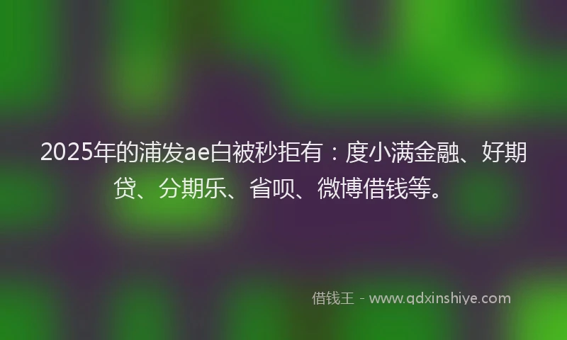 2025年的浦发ae白被秒拒有：度小满金融、好期贷、分期乐、省呗、微博借钱等。