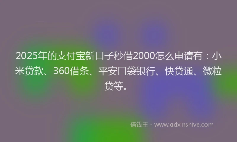 2025年的支付宝新口子秒借2000怎么申请有：小米贷款、360借条、平安口袋银行、快贷通、微粒贷等。
